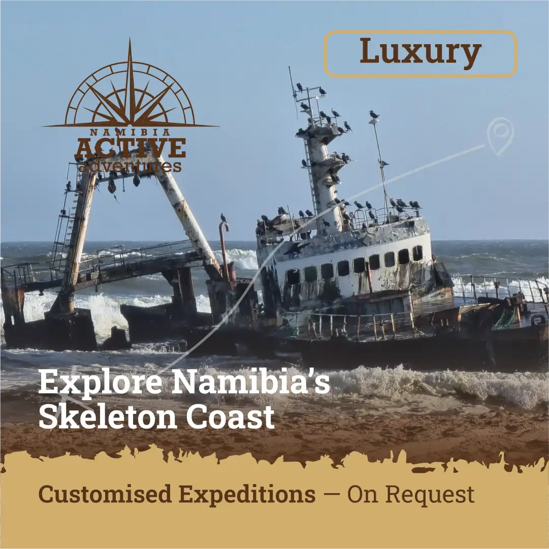 Skeleton Coast